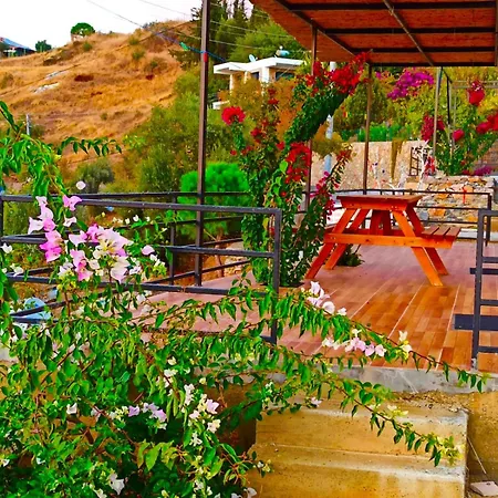 Maziapart Hotel